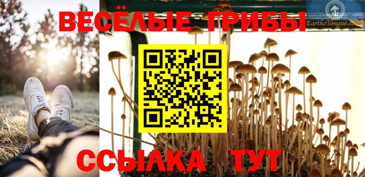 Бутурлиновка  Галлюциногенные грибы MAGIC MUSHROOMS  Галлюциногенные грибы прущие грибы  Вход с VPN 
