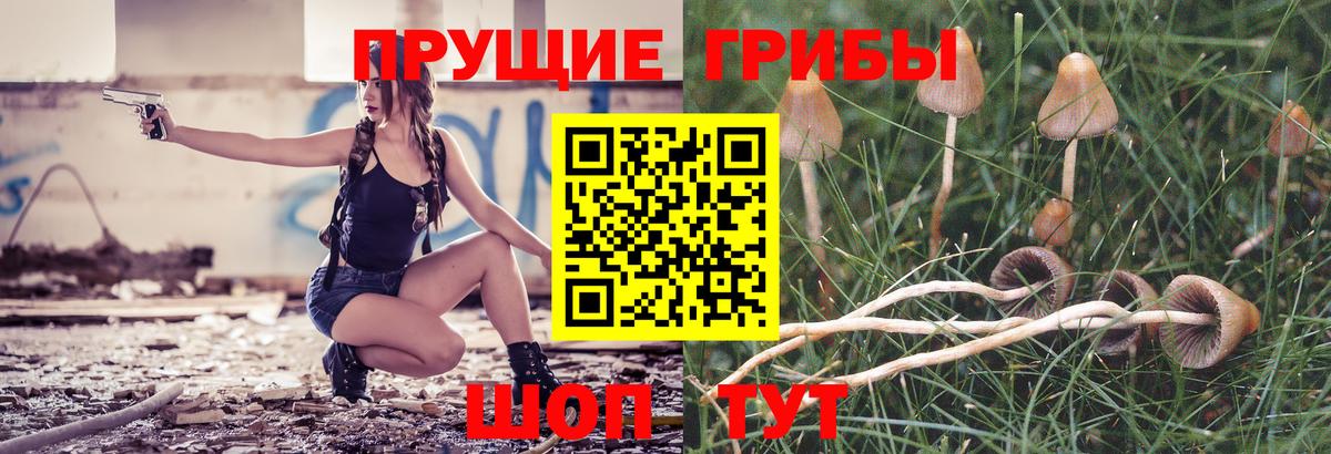 Галлюциногенные грибы прущие грибы Бутурлиновка